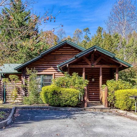 Dog Friendly, Romantic Mtn Getaway Hot Tub Pool Gatlinburg Exteriér fotografie