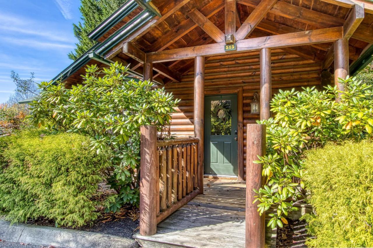 Dog Friendly, Romantic Mtn Getaway Hot Tub Pool Gatlinburg Exteriér fotografie